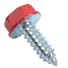 Painted Head Screw